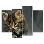 Модульная картина Играющий котенок Модульная картина Играющий котенок