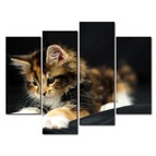 Модульная картина Игривый котенок Модульная картина Игривый котенок