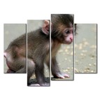 Модульная картина Детеныш обезьяны