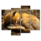 Модульная картина Спящий лисенок Модульная картина Спящий лисенок