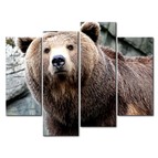 Модульная картина Медведь